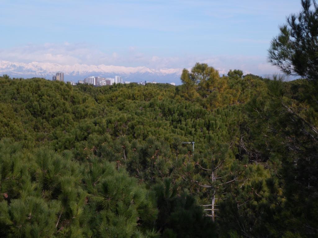 Residence Gardenia Lignano Sabbiadoro Extérieur photo
